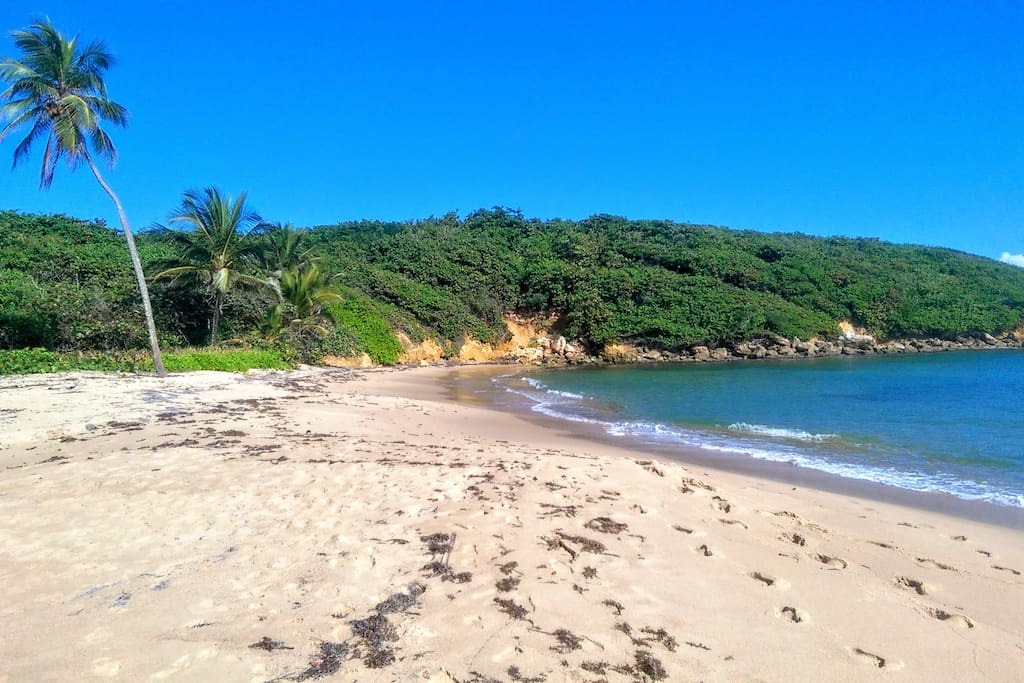 Beach in front of our family friendly community