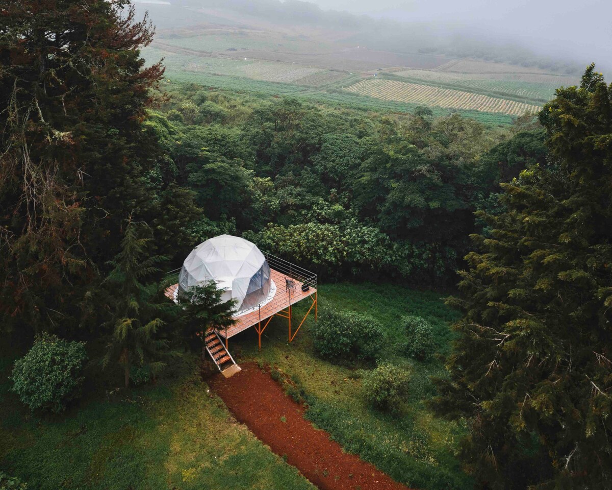 A geodesic dome is situated on a wooden platform, surrounded by dense greenery and a path leading to it. The area offers panoramic views of rolling hills and misty landscapes, contributing to a serene natural setting.