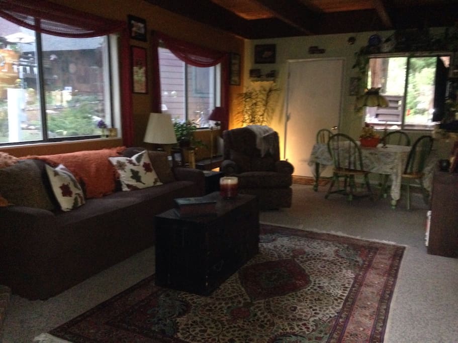 This is the living room and common area.