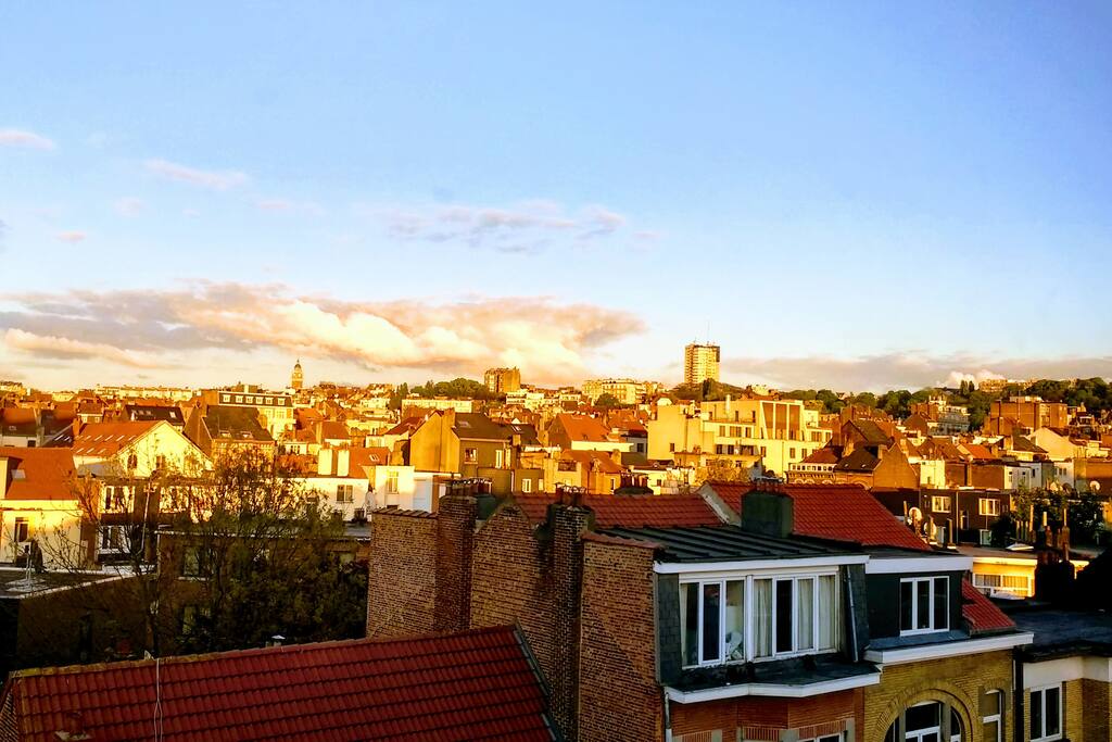 View from the living room