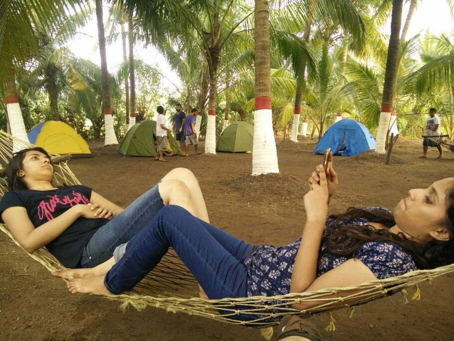 Campers chilling on the hammocks.