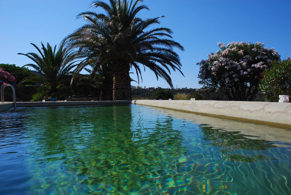 La suggestiva piscina