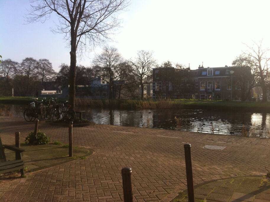 View from the kitchen/terrace