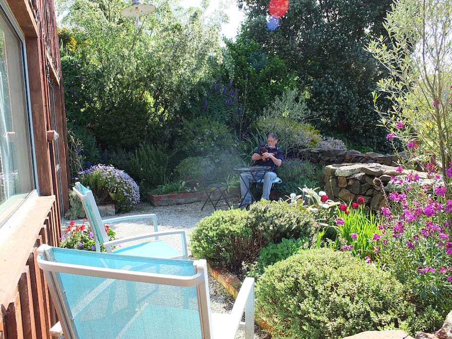 sunny and enclosed garden