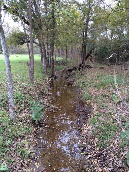 wet weather creek at front of property