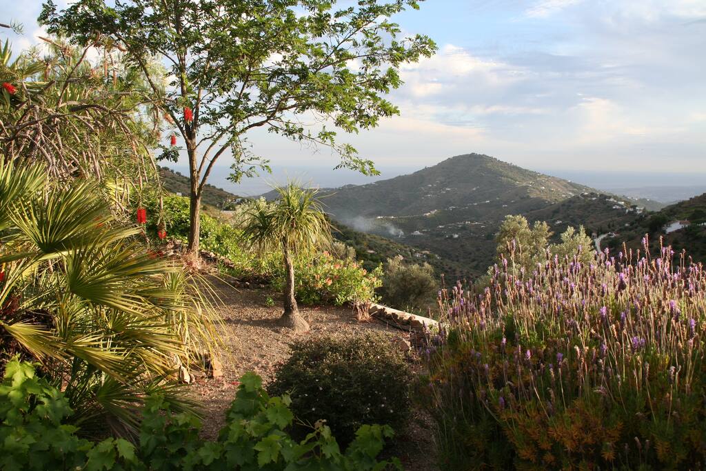 The view from the private terrace as you have breakfast, lunch or dinner!