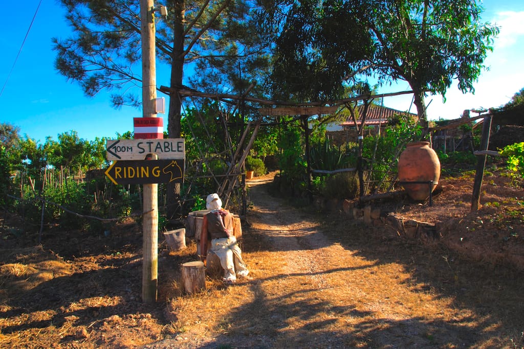 Entrance to the New Forest Lodge