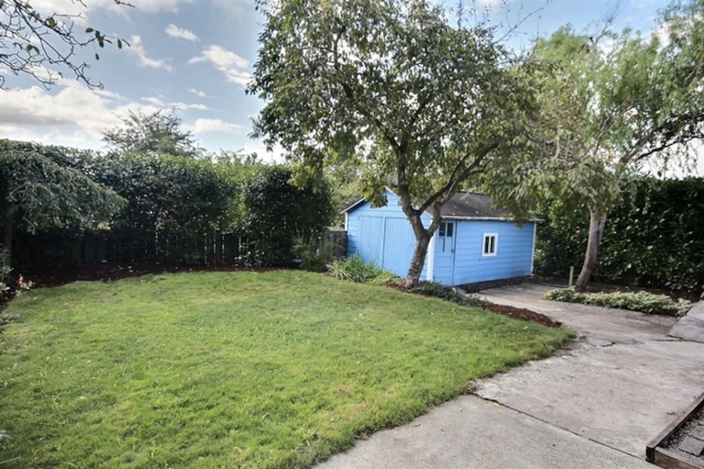 Back yard with plum tree.