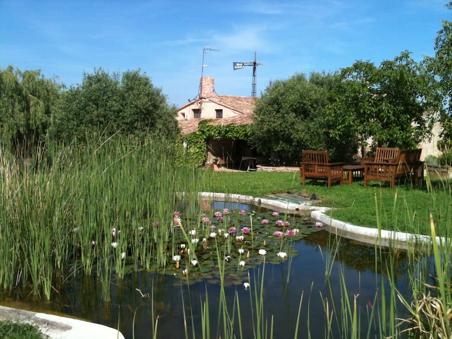 Estanque / Pond