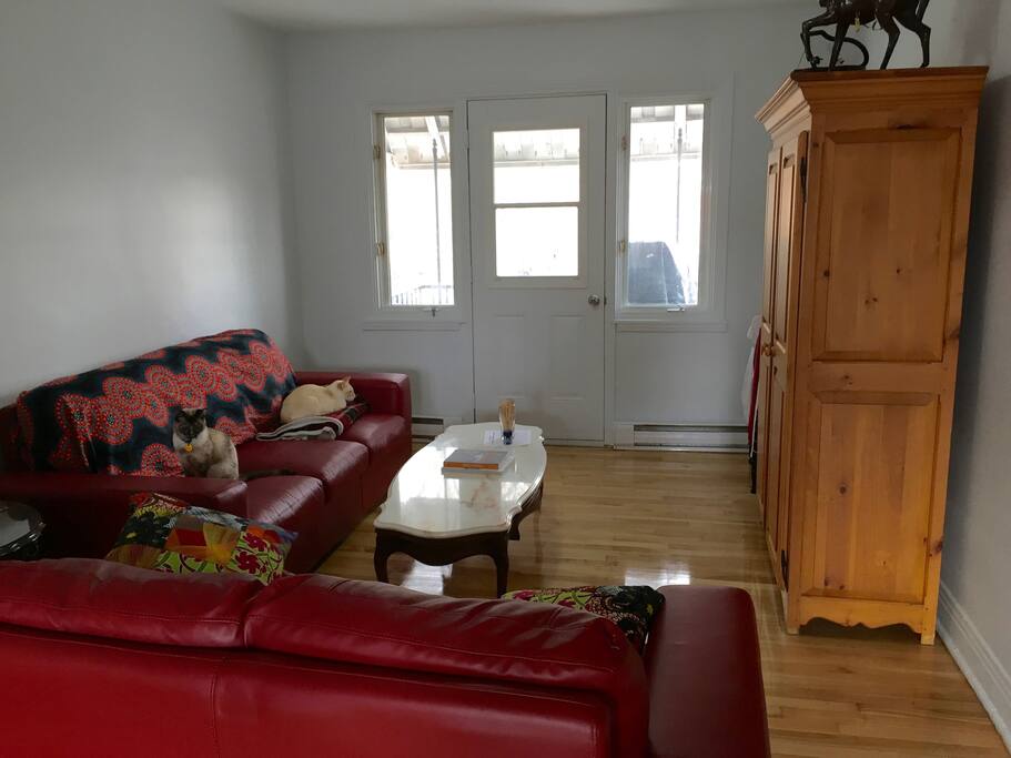 Salon/ living room