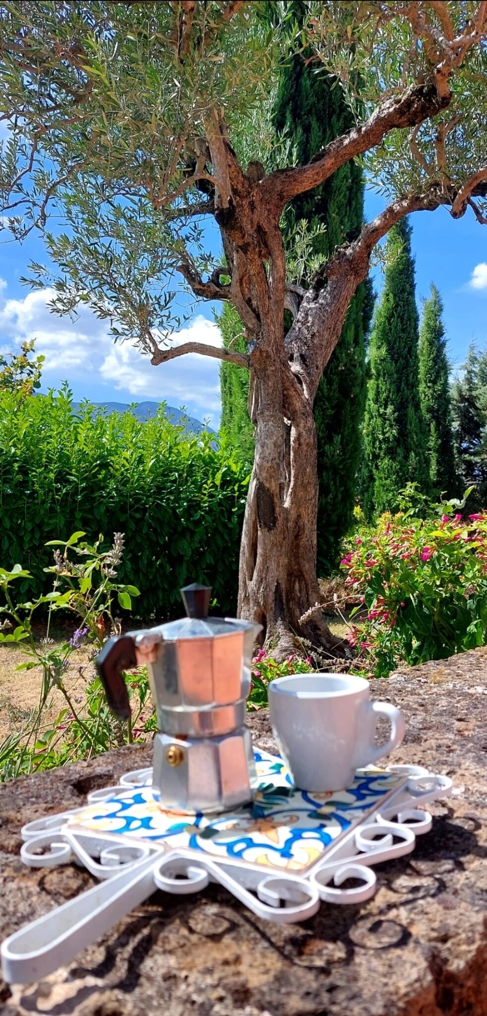 A traditional coffee maker and a white cup are positioned on a decorative tray, set against a backdrop of an olive tree and lush greenery. Bright blue skies are visible above, enhancing the serene outdoor setting.