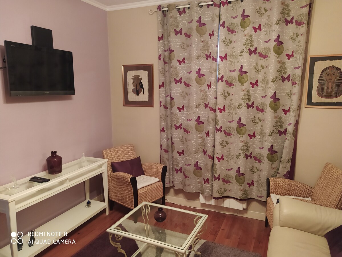 Airbnb performant: Comfortable apartment, Colomiers near AIRBUS à Colomiers