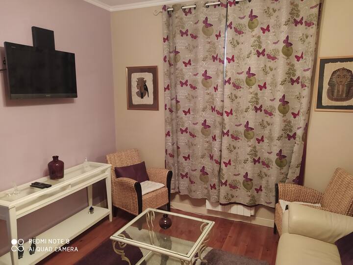 Appartement Tout Confort,  Colomiers Proche Airbus - Tournefeuille
