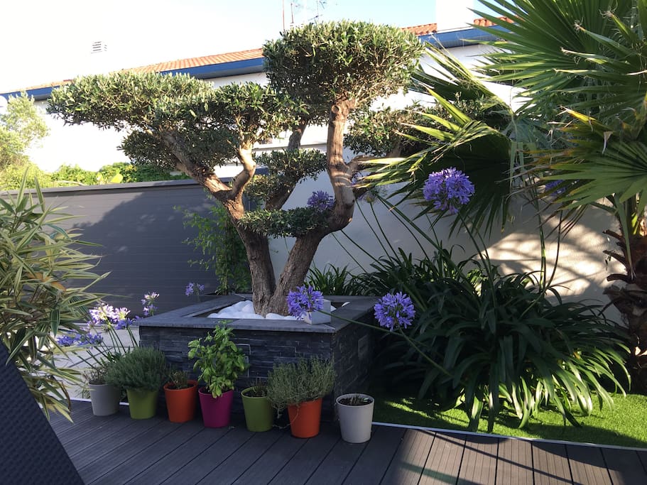 Jardin terrasse