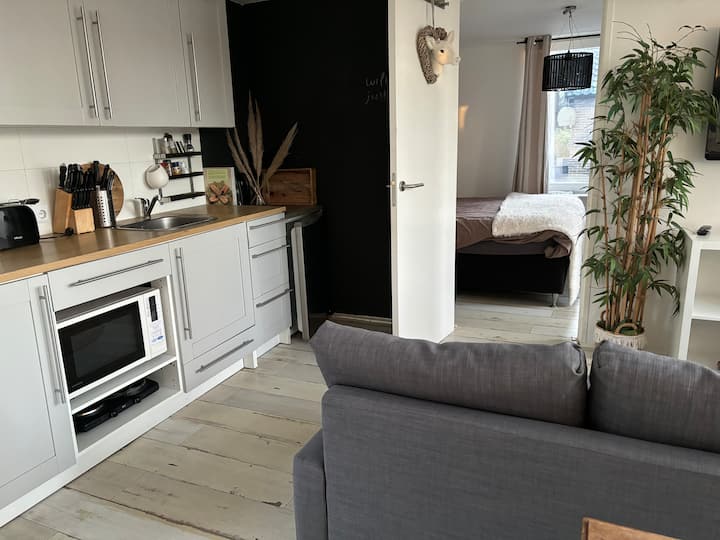 Black Bunga & Pool Near Beach And Amsterdam - Castricum