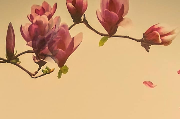 detalj o spavaćoj sobi