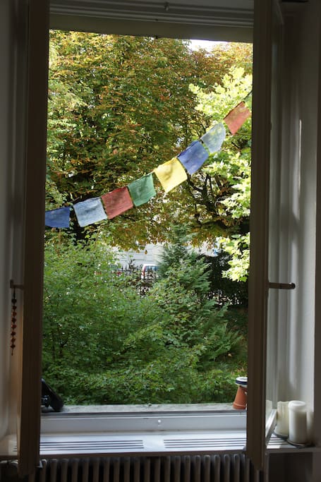 View out of the window