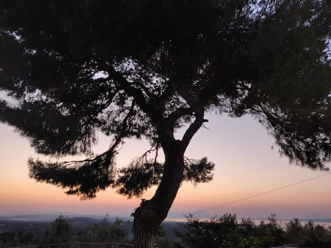 Private pool with stunning view Domaine_LRF