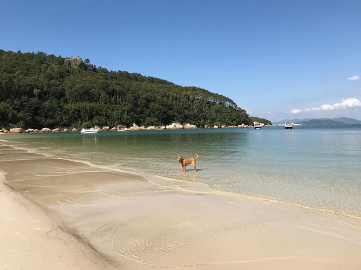 Praia da Armação da Piedade Alojamientos vacacionales Santa Catarina, Brasil Airbnb Praia da Armação da Piedade Alojamientos vacacionales Santa Catarina, Brasil Airbnb