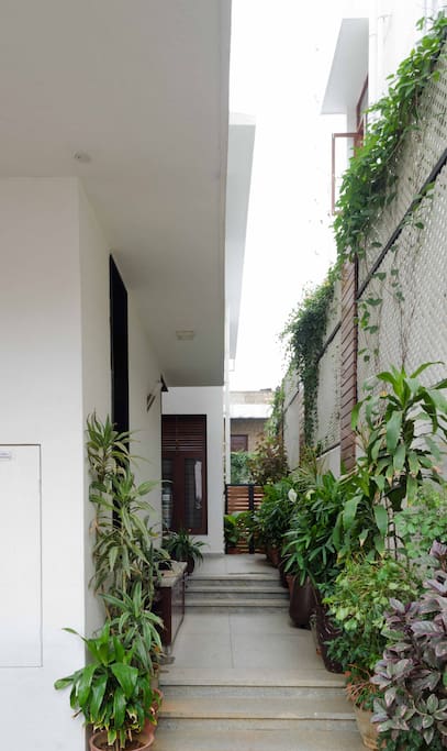 Pathway to the Main door