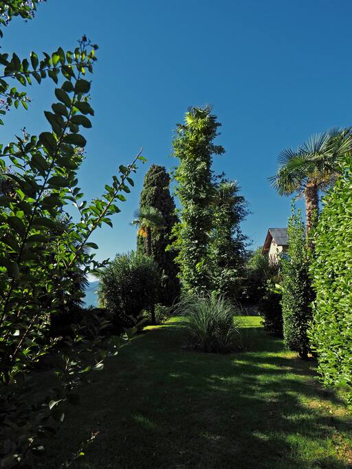 Garten
