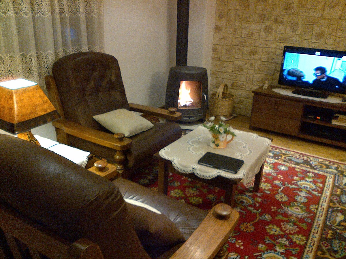 A cozy living area features two armchairs and a small coffee table, set on a patterned rug. A wood stove adds warmth, while a TV sits on a wooden cabinet. Light filters through sheer curtains, creating a comfortable ambiance.