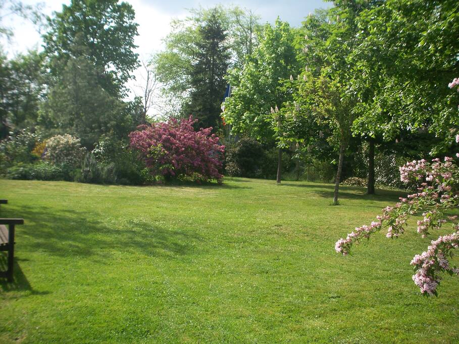 Jardin ombragé