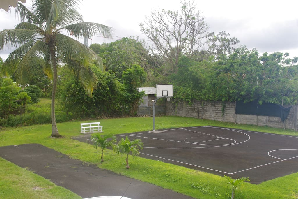 Basketball court