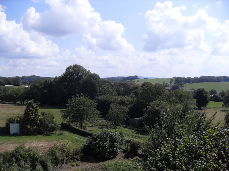 lovely view from back of house