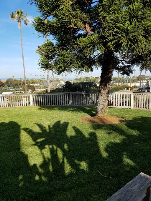 Side yard.