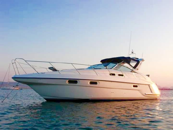 Sealine s37