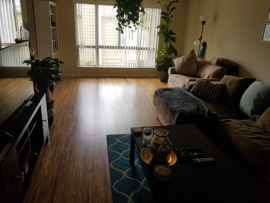 Living Room #3- outside view, great lighting