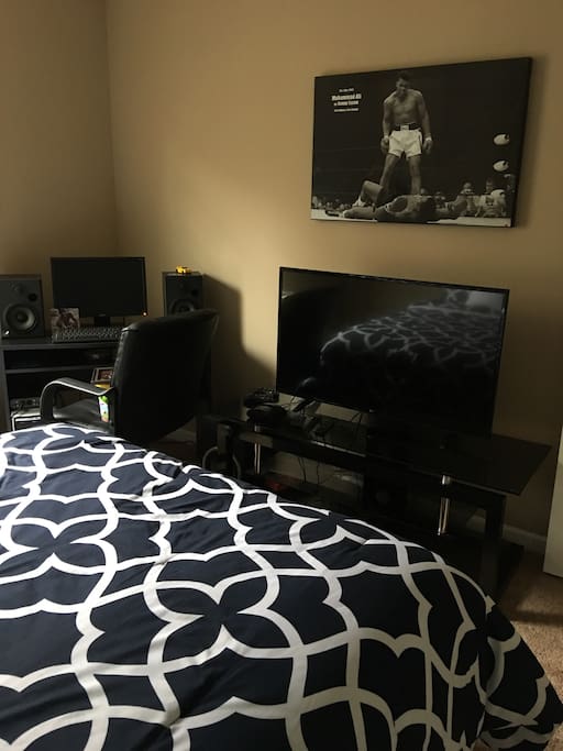 42" TV with connections for gaming or media center.