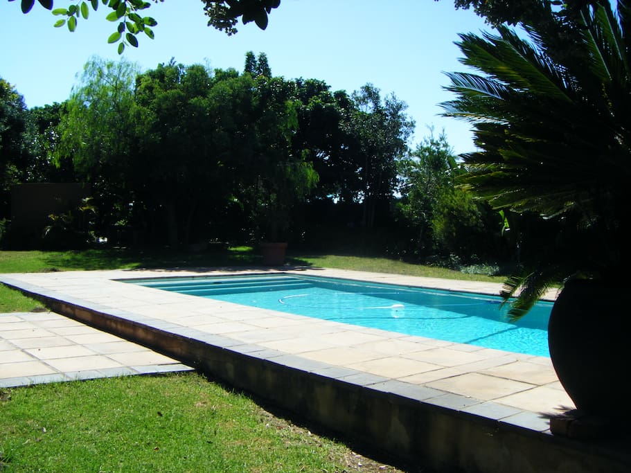 Slightly larger than the average home pool, this pool is set in a lovely well maintained garden