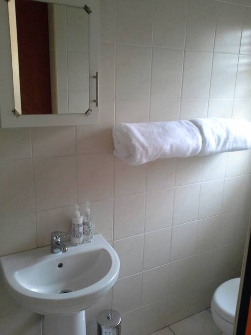 Bathroom with Shower