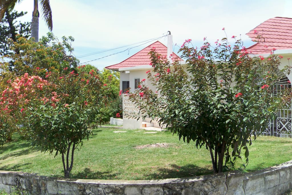 Villa Front Yard