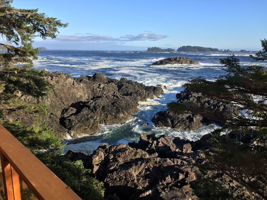 View from the Deck