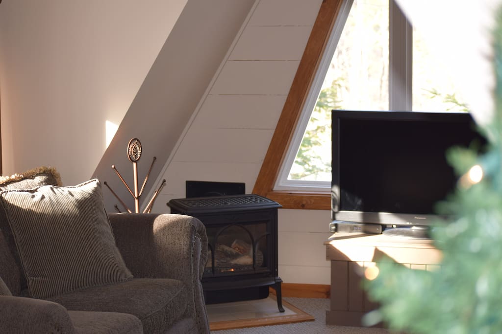 Gas stove in living room to keep things nice and cozy