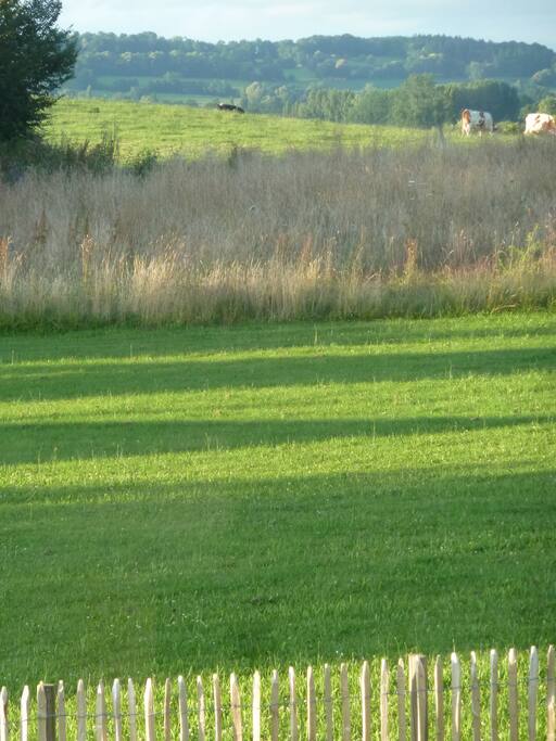 Vue sur la campagne