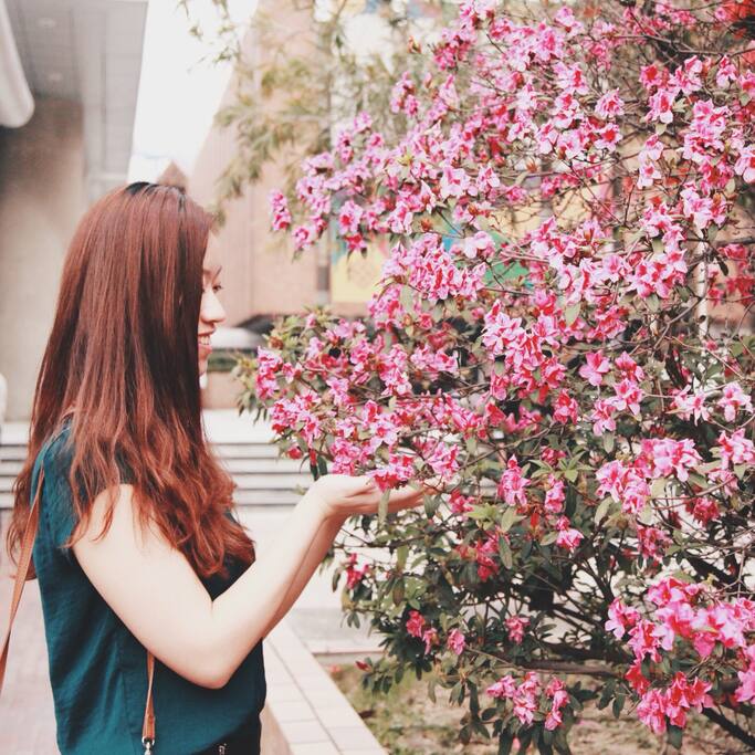 红磡的后花园 花开的四月天 香港旅游攻略 尽在airbnb爱彼迎 红磡的后花园 花开的四月天 香港旅游攻略 尽在airbnb爱彼迎