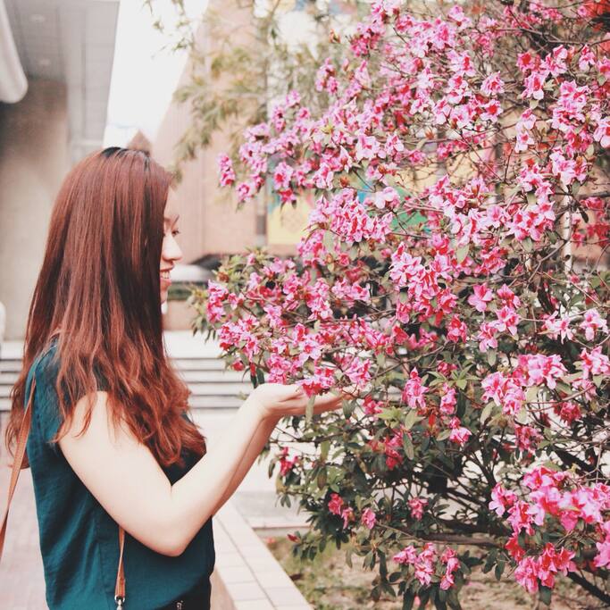 红磡的后花园 花开的四月天 香港旅游攻略 尽在airbnb爱彼迎