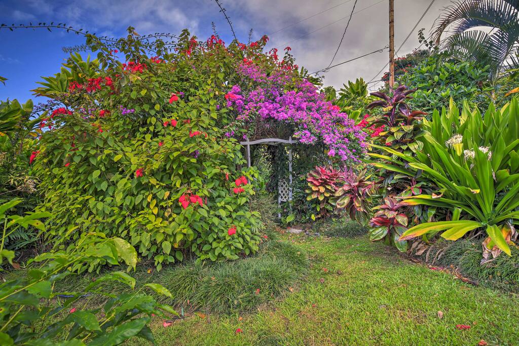 Situated on a 2-acre coffee farm, this home boasts 3,000 square feet and comfortably sleeps up to 6 guests.