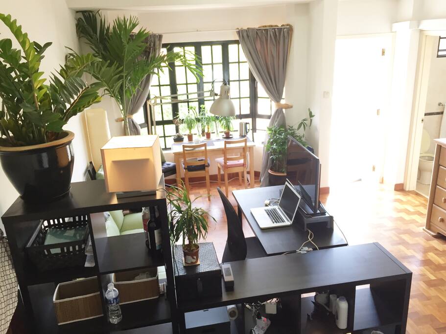 living area