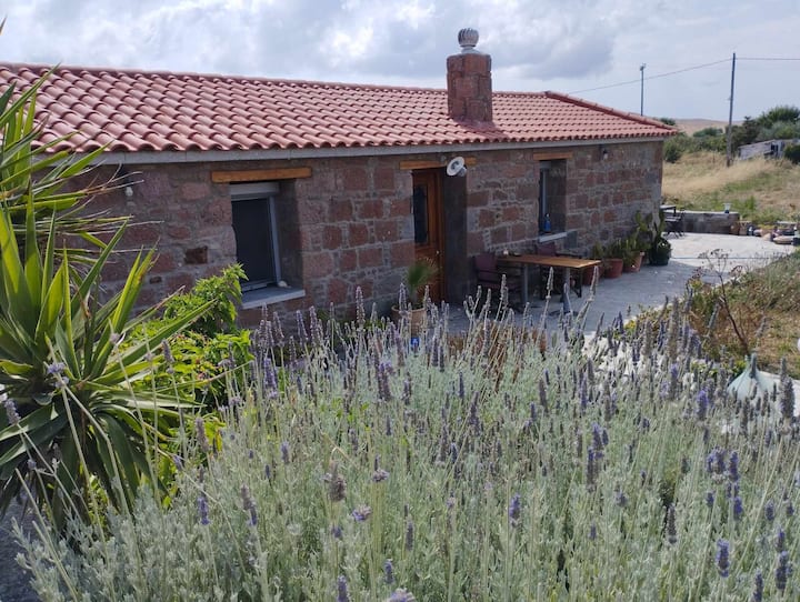 Owl's Nestpet friendly stone house near the beach Cottages for Rent