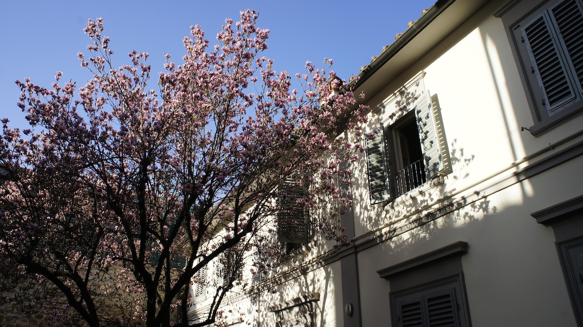 A flowering tree is seen in full bloom, casting soft shadows on the white exterior of the building. The structure features multiple windows adorned with green shutters, contributing to the overall charm of the outdoor space.