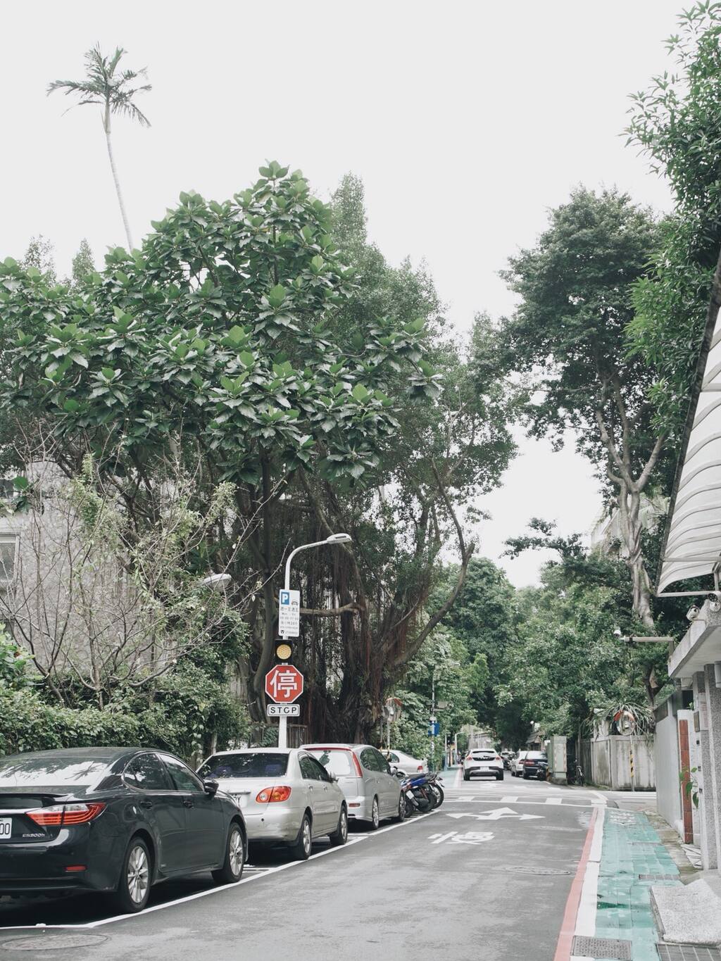 除了台北101你还可以逛一逛这个诗意街道 台北旅游攻略 尽在airbnb爱彼迎