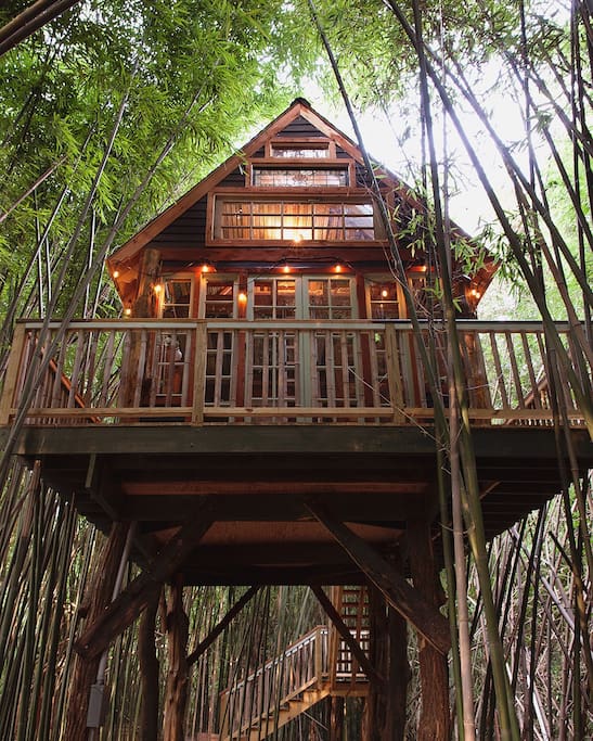 Atlanta Alpaca Treehouse in the Bamboo Forest  Treehouses for Rent in Atlanta, Georgia, United 