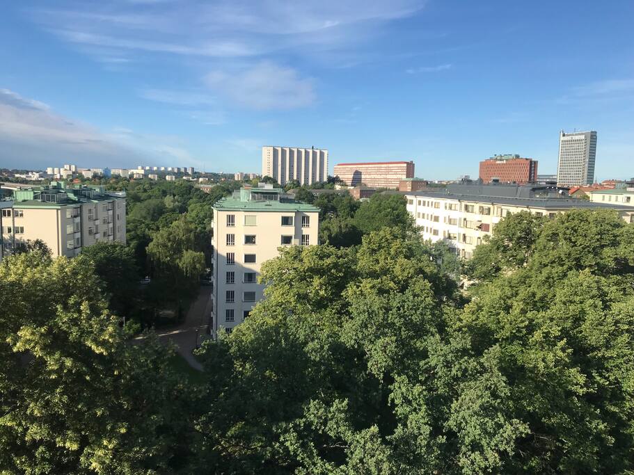 View from the living room.