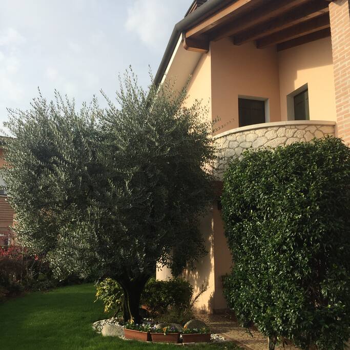 Vista del giardino