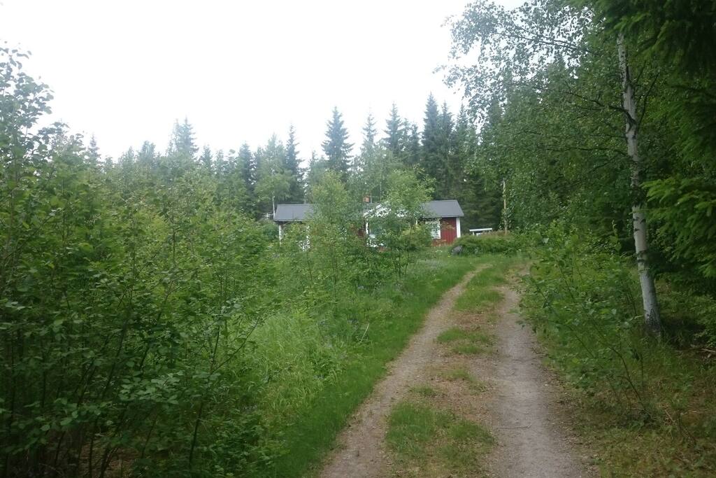 Uppfartsväg till "tystnaden"